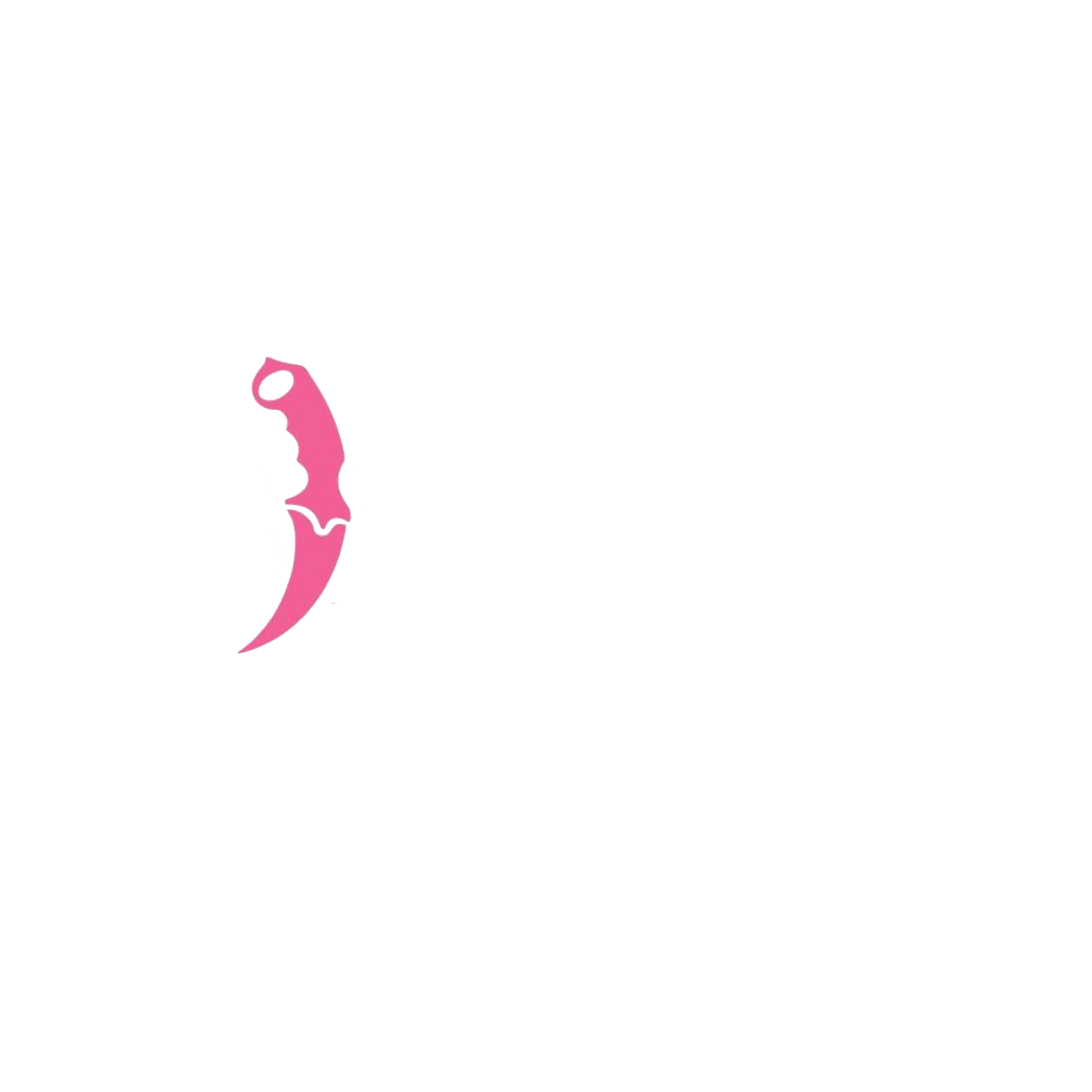 CS Money
